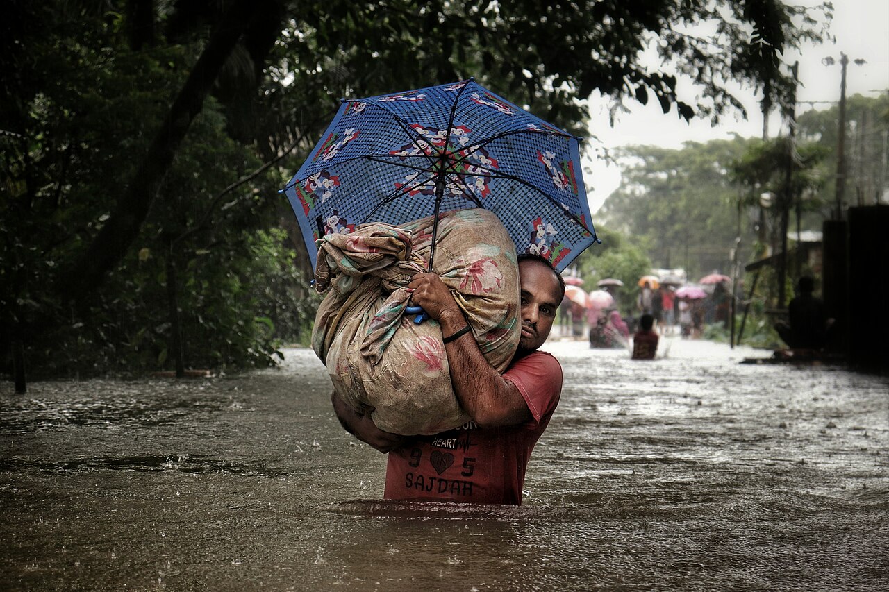 সেবার ছবি 8